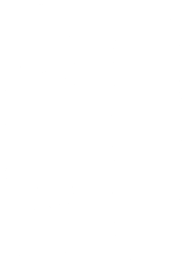 The Finger Skateboarder